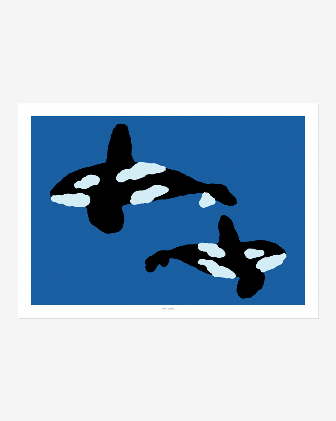 ORCA POSTER